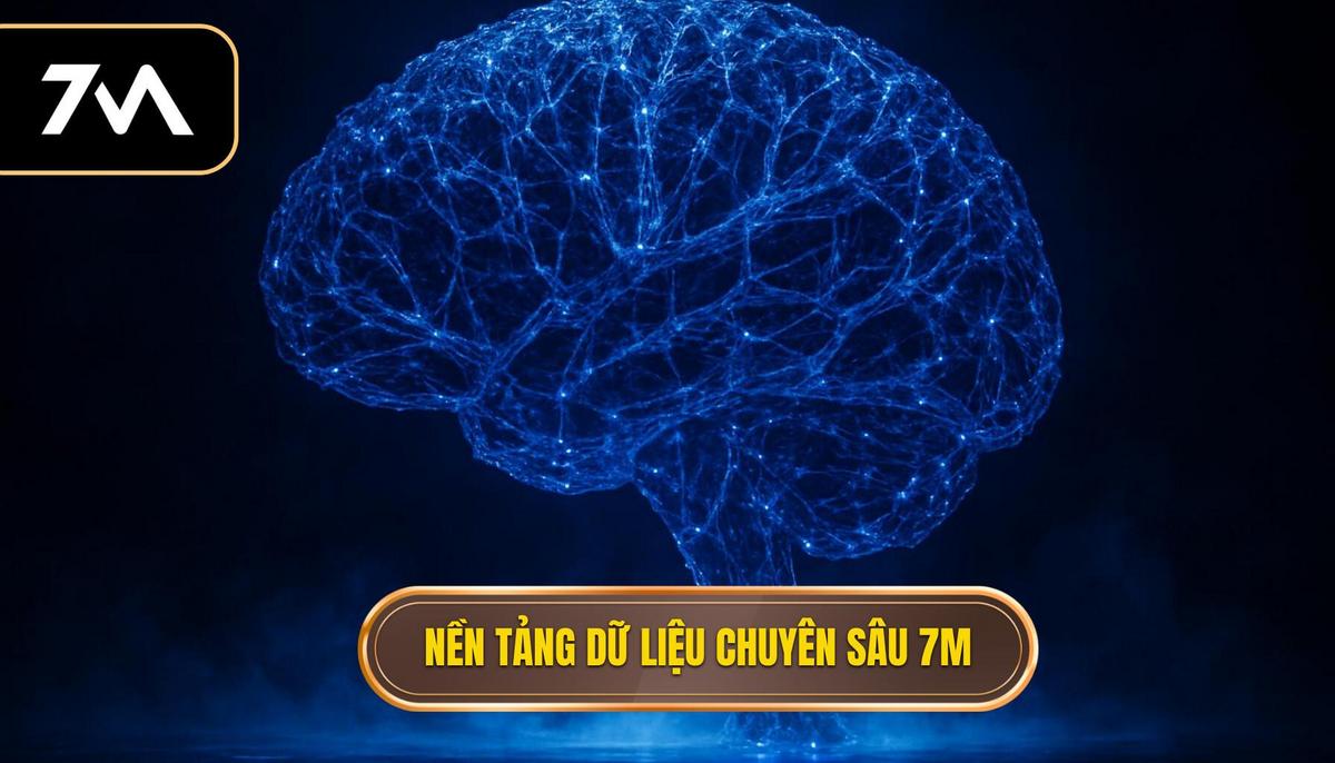 Nền Tảng Dữ Liệu Chuyên Sâu Của 7M