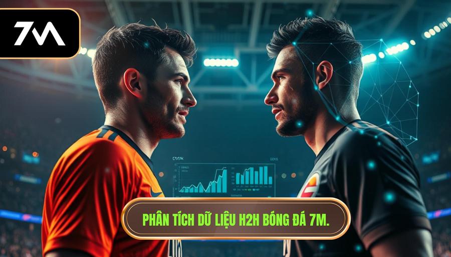 Phân tích dữ liệu H2H bóng đá 7m